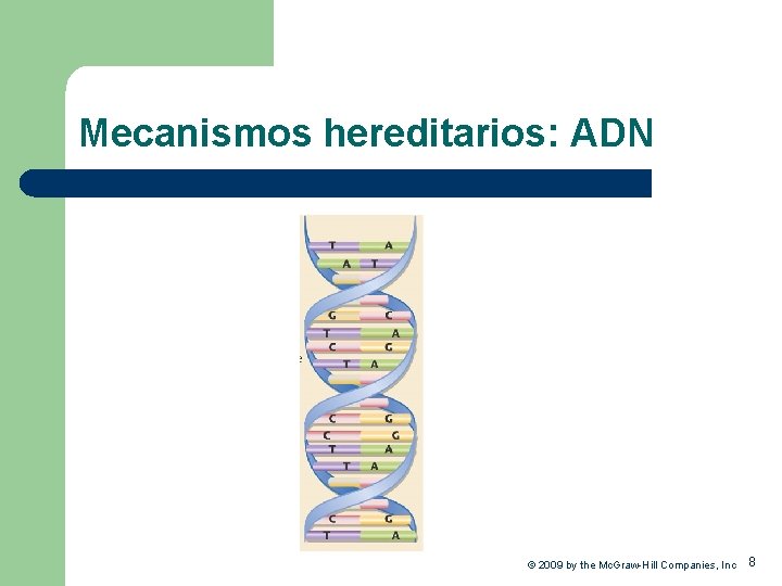 Mecanismos hereditarios: ADN © 2009 by the Mc. Graw-Hill Companies, Inc 8 