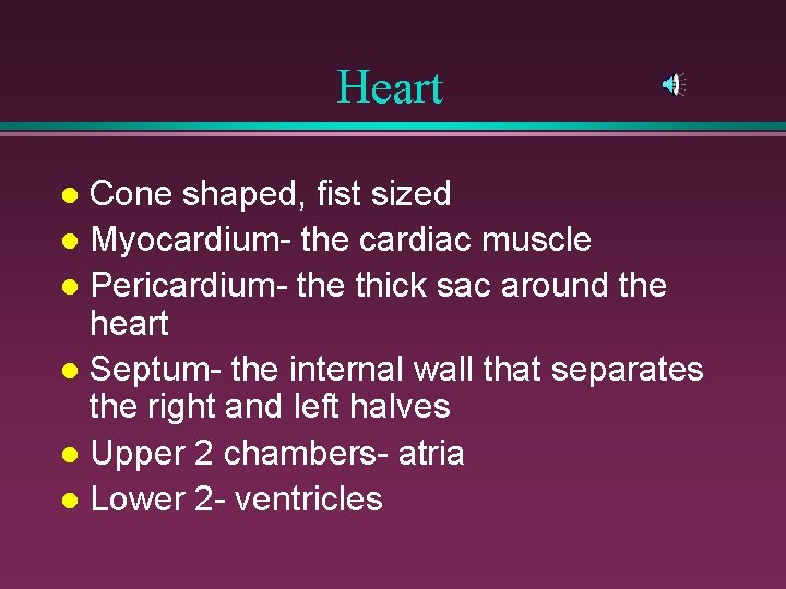 Heart Cone shaped, fist sized l Myocardium- the cardiac muscle l Pericardium- the thick