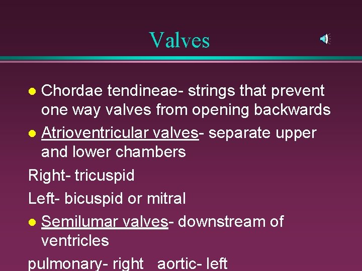 Valves Chordae tendineae- strings that prevent one way valves from opening backwards l Atrioventricular