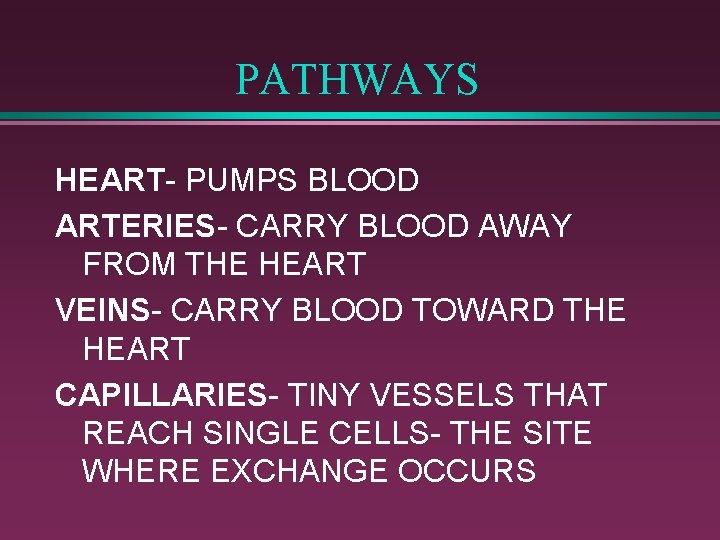 PATHWAYS HEART- PUMPS BLOOD ARTERIES- CARRY BLOOD AWAY FROM THE HEART VEINS- CARRY BLOOD