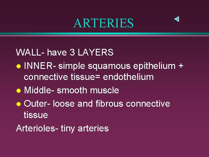 ARTERIES WALL- have 3 LAYERS l INNER- simple squamous epithelium + connective tissue= endothelium