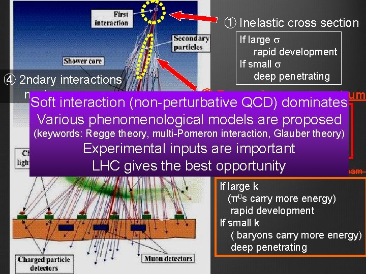 ① Inelastic cross section If large s rapid development If small s deep penetrating