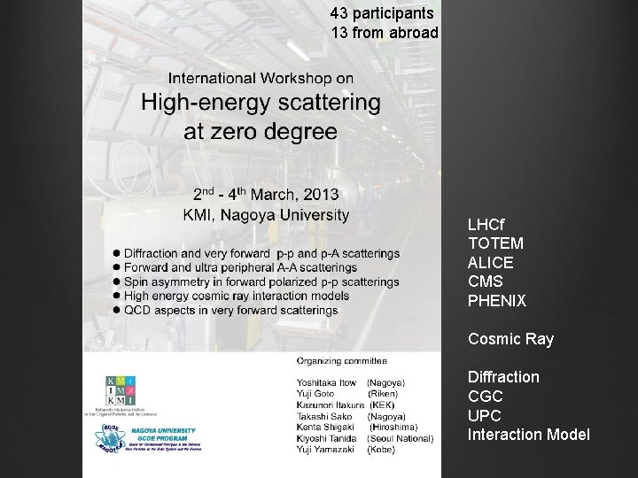 43 participants 13 from abroad LHCf TOTEM ALICE CMS PHENIX Cosmic Ray Diffraction CGC