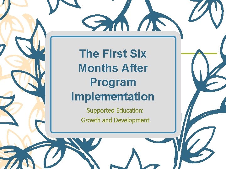 The First Six Months After Program Implementation Supported Education: Growth and Development 