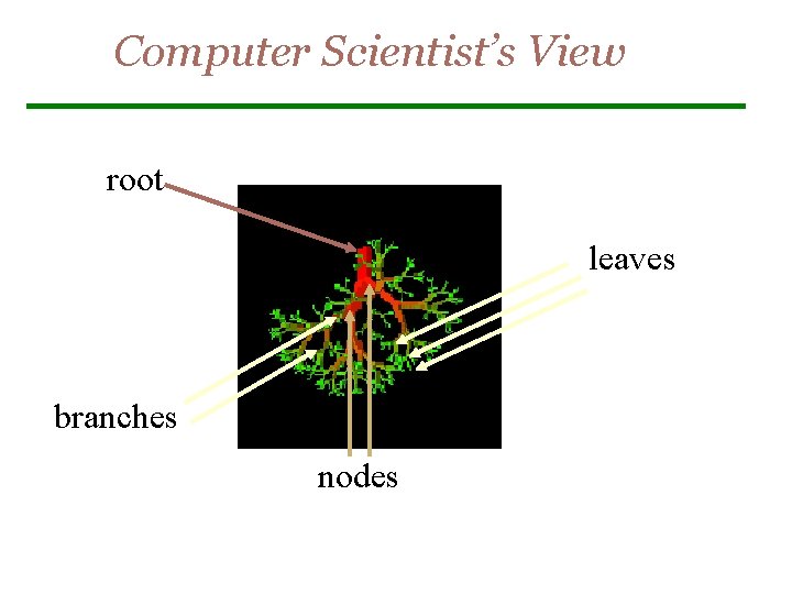 UNIT III PART I Trees and Binary Trees
