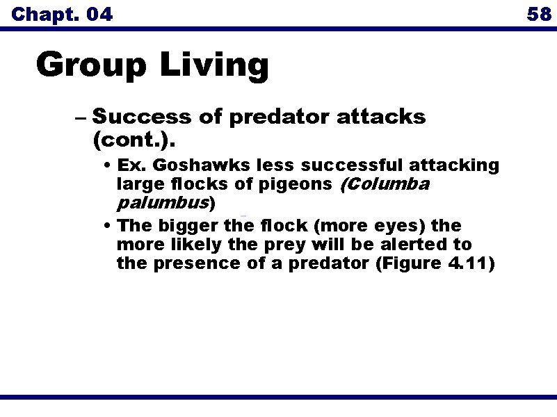 Chapt. 04 58 Group Living – Success of predator attacks (cont. ). • Ex.