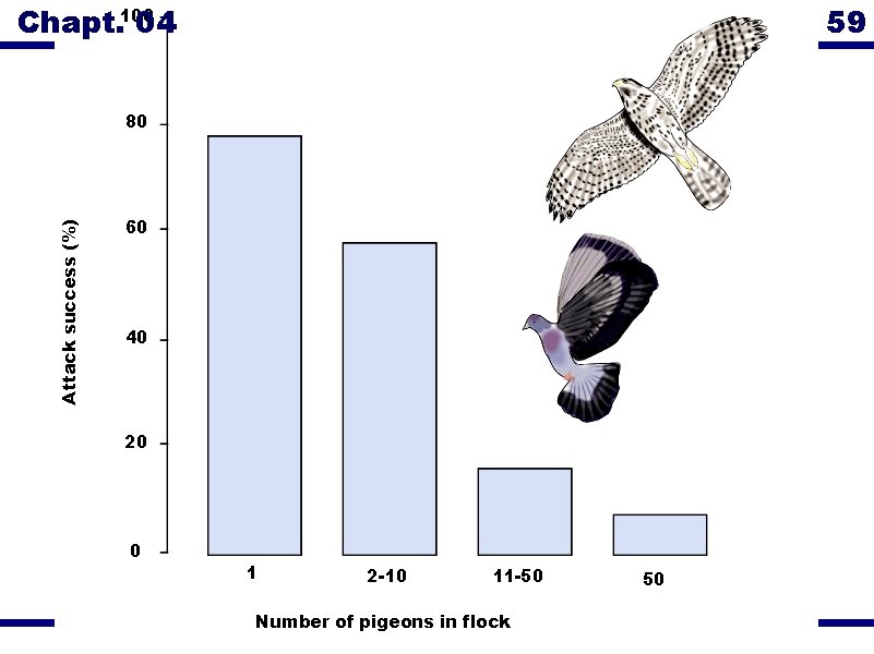 Chapt. 100 04 59 Attack success (%) 80 60 40 20 0 1 2