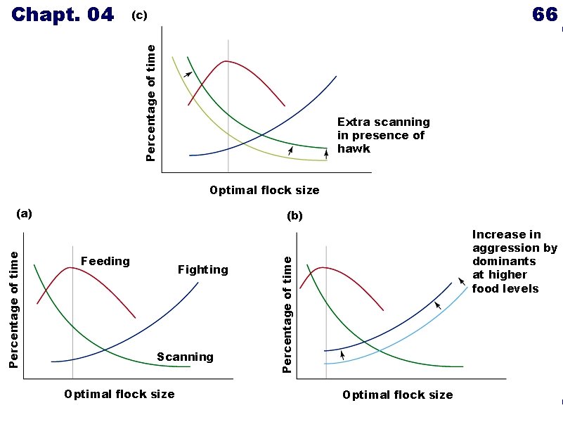 66 (c) Percentage of time Chapt. 04 Extra scanning in presence of hawk Optimal