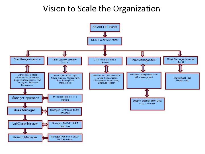 Vision to Scale the Organization 