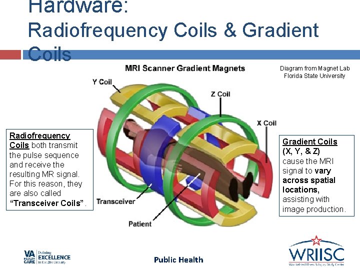 Hardware: Radiofrequency Coils & Gradient Coils Diagram from Magnet Lab Florida State University Radiofrequency Hardware: Radiofrequency Coils & Gradient Coils Diagram from Magnet Lab Florida State University Radiofrequency