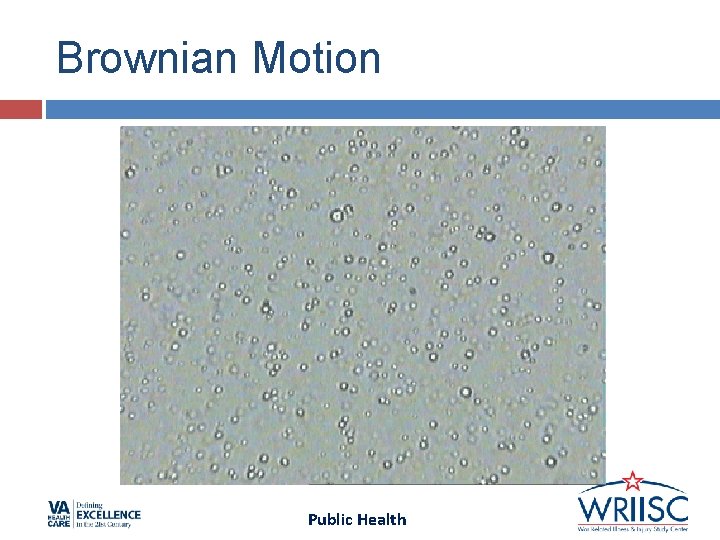 Brownian Motion Public Health Brownian Motion Public Health