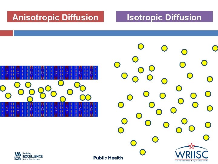 Anisotropic Diffusion Public Health Isotropic Diffusion Anisotropic Diffusion Public Health Isotropic Diffusion