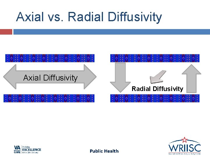 Axial vs. Radial Diffusivity Axial Diffusivity Radial Diffusivity Public Health Axial vs. Radial Diffusivity Axial Diffusivity Radial Diffusivity Public Health