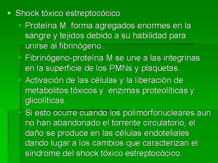 § Shock tóxico estreptocócico § Proteína M forma agregados enormes en la sangre y