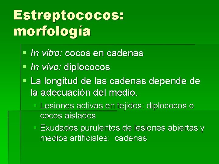 Estreptococos: morfología § § § In vitro: cocos en cadenas In vivo: diplococos La