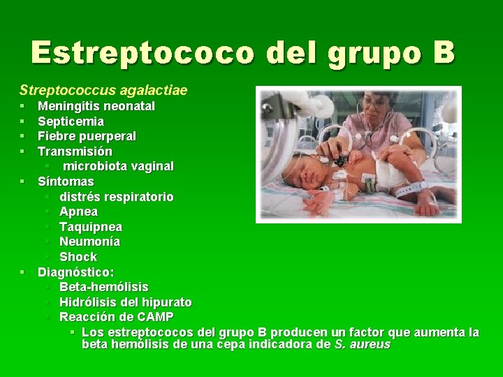 Estreptococo del grupo B Streptococcus agalactiae § § Meningitis neonatal Septicemia Fiebre puerperal Transmisión