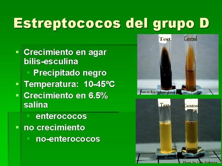 Estreptococos del grupo D § Crecimiento en agar bilis-esculina § Precipitado negro § Temperatura: