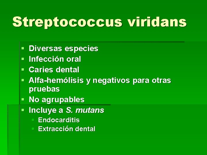 Streptococcus viridans § § Diversas especies Infección oral Caries dental Alfa-hemólisis y negativos para