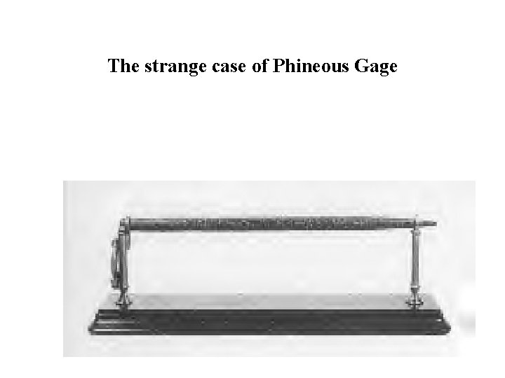 The strange case of Phineous Gage 