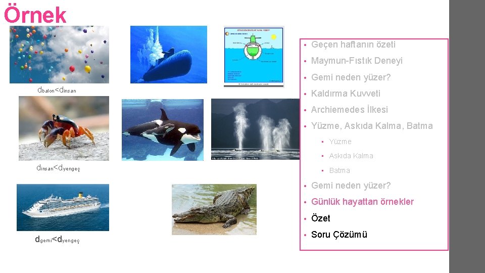 Örnek dbalon<dinsan • Geçen haftanın özeti • Maymun-Fıstık Deneyi • Gemi neden yüzer? • Örnek dbalon<dinsan • Geçen haftanın özeti • Maymun-Fıstık Deneyi • Gemi neden yüzer? •