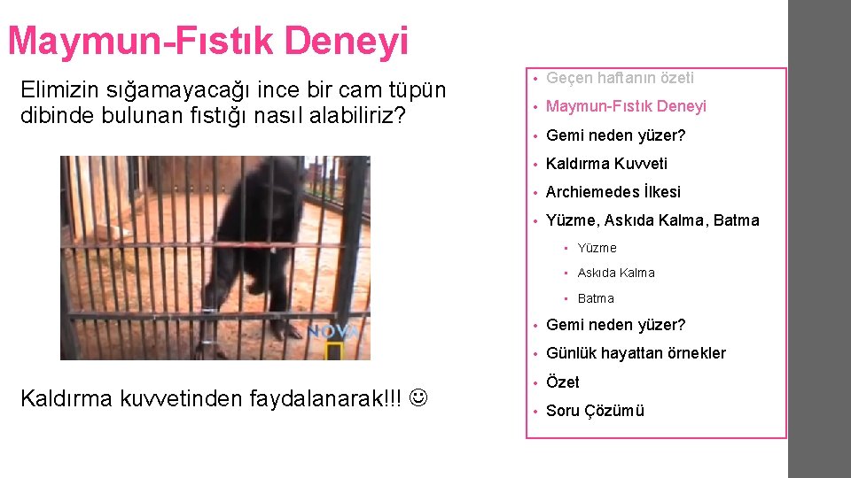 Maymun-Fıstık Deneyi Elimizin sığamayacağı ince bir cam tüpün dibinde bulunan fıstığı nasıl alabiliriz? • Maymun-Fıstık Deneyi Elimizin sığamayacağı ince bir cam tüpün dibinde bulunan fıstığı nasıl alabiliriz? •