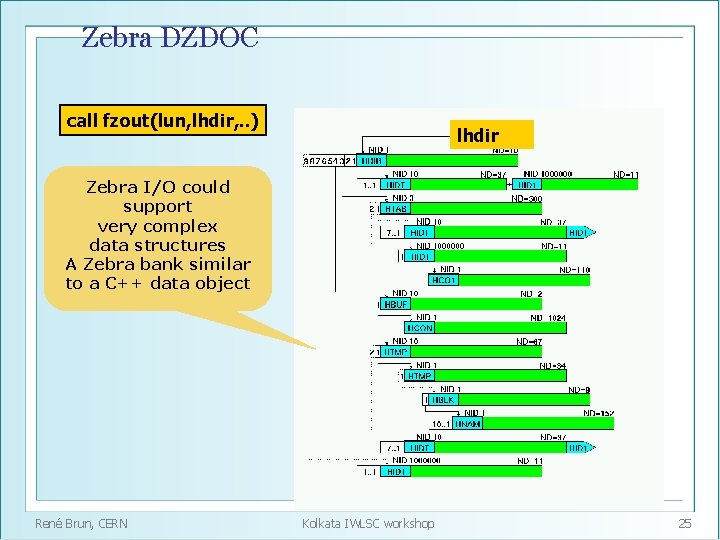 Zebra DZDOC call fzout(lun, lhdir, . . ) lhdir Zebra I/O could support very