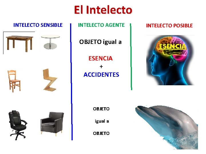 El Intelecto INTELECTO SENSIBLE INTELECTO AGENTE OBJETO igual a ESENCIA + ACCIDENTES OBJETO igual