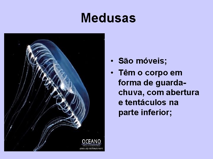 Medusas • São móveis; • Têm o corpo em forma de guardachuva, com abertura