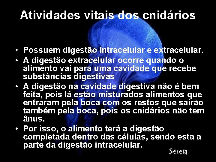 Atividades vitais dos cnidários • Possuem digestão intracelular e extracelular. • A digestão extracelular