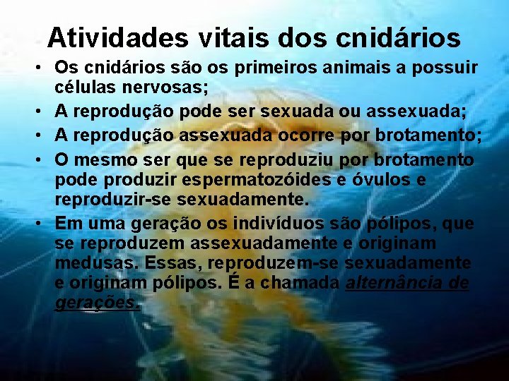 Atividades vitais dos cnidários • Os cnidários são os primeiros animais a possuir células