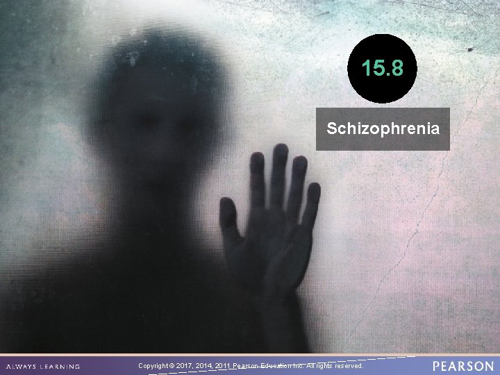 15. 8 Schizophrenia Copyright © 2017, 2014, 2011 Pearson Education Inc. All rights reserved.