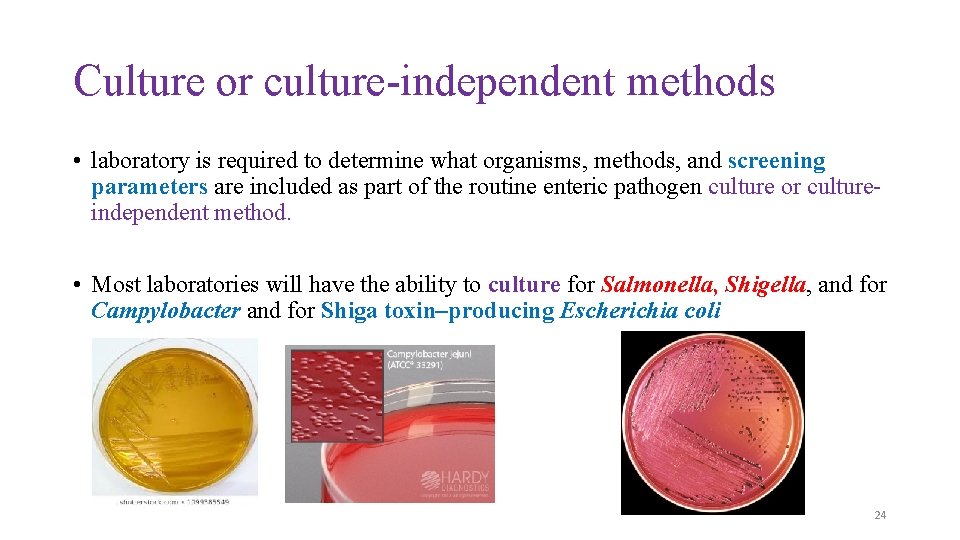 Culture or culture-independent methods • laboratory is required to determine what organisms, methods, and