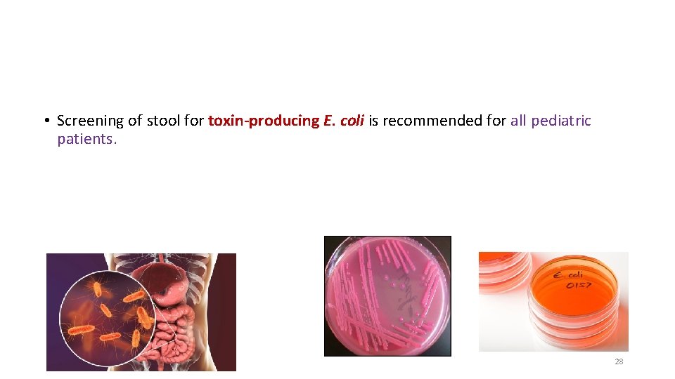  • Screening of stool for toxin-producing E. coli is recommended for all pediatric