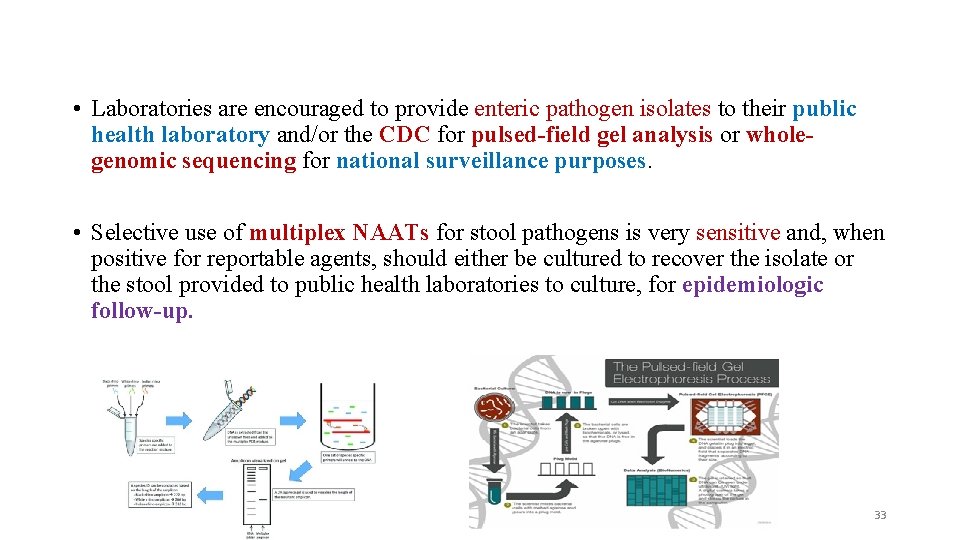  • Laboratories are encouraged to provide enteric pathogen isolates to their public health