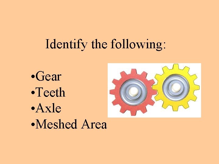 Identify the following: • Gear • Teeth • Axle • Meshed Area 
