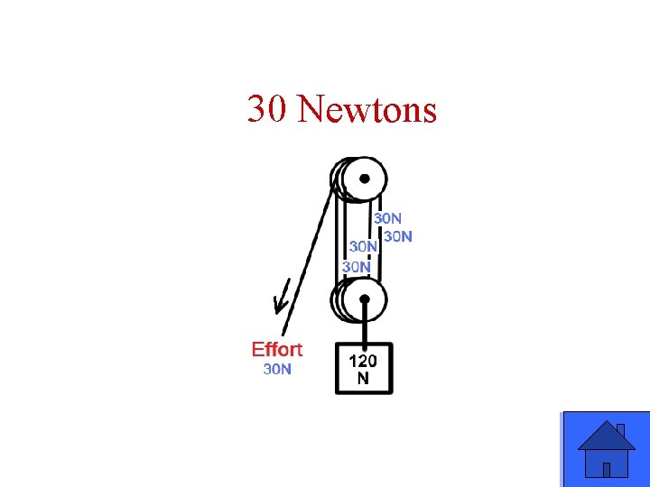 30 Newtons 