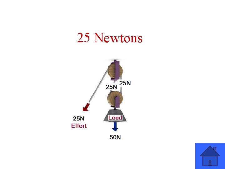 25 Newtons 