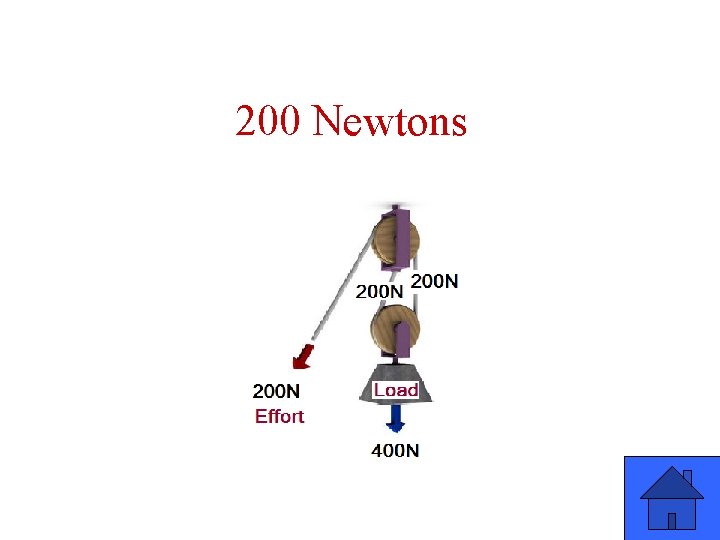 200 Newtons 