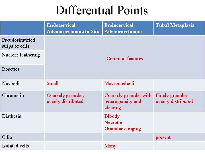 Differential Points Endocervical Adenocarcinoma in Situ Adenocarcinoma Tubal Metaplasia Pseudostratified strips of cells Nuclear