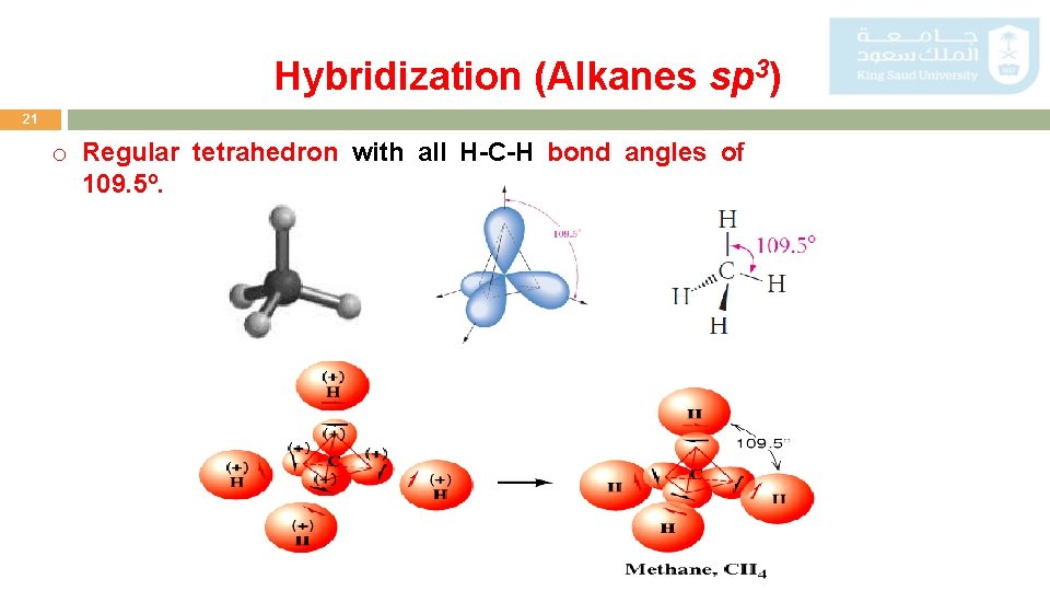 Hybridization (Alkanes sp 3) 21 o Regular tetrahedron with all H-C-H bond angles of