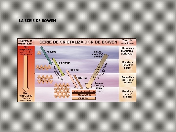 LA SERIE DE BOWEN 