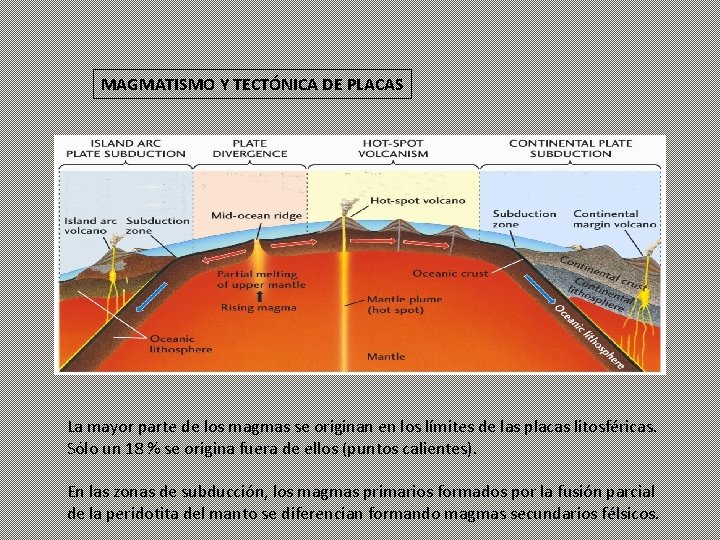MAGMATISMO Y TECTÓNICA DE PLACAS La mayor parte de los magmas se originan en