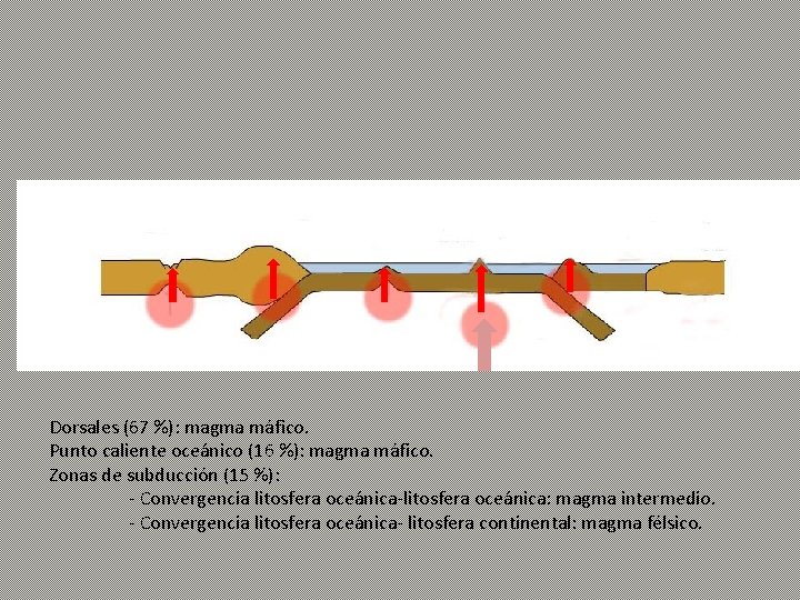 Dorsales (67 %): magma máfico. Punto caliente oceánico (16 %): magma máfico. Zonas de