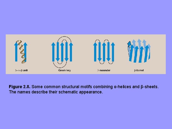 Figure 2. 8. Some common structural motifs combining α-helices and β-sheets. The names describe