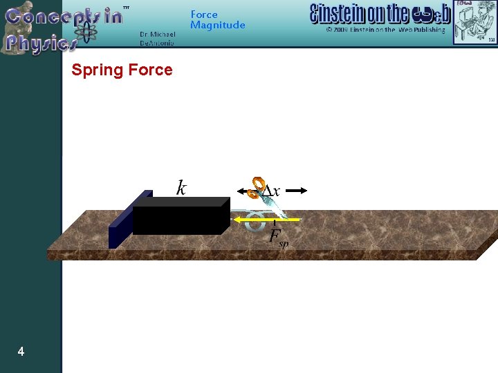 Force Magnitude Spring Force 4 