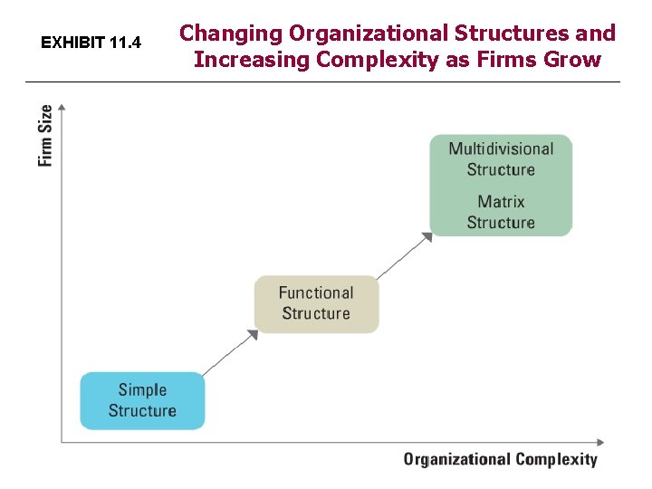 EXHIBIT 11. 4 Changing Organizational Structures and Increasing Complexity as Firms Grow 