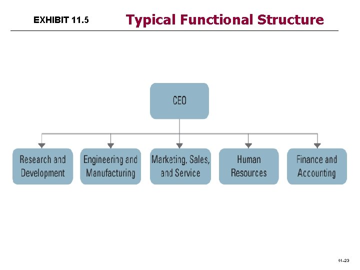 EXHIBIT 11. 5 Typical Functional Structure 11– 23 