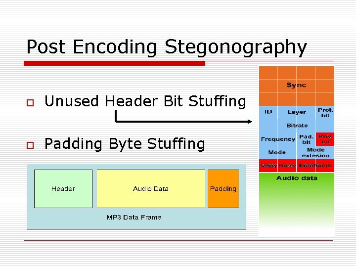 Post Encoding Stegonography o Unused Header Bit Stuffing o Padding Byte Stuffing 