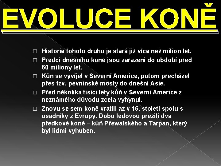 EVOLUCE KONĚ � � � Historie tohoto druhu je stará již více než milion