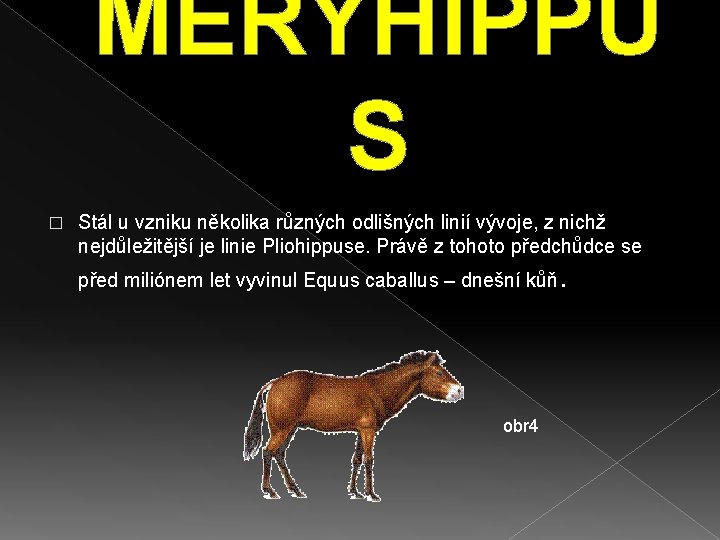 MERYHIPPU S � Stál u vzniku několika různých odlišných linií vývoje, z nichž nejdůležitější